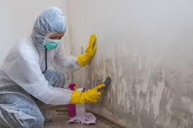 Why You Should Choose Our Mold Remediation Services in Gambier, OH